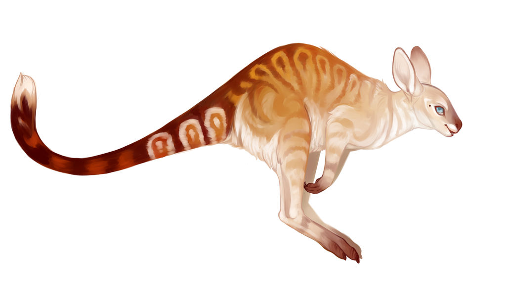 kangaroo by BasiliskoDru on DeviantArt