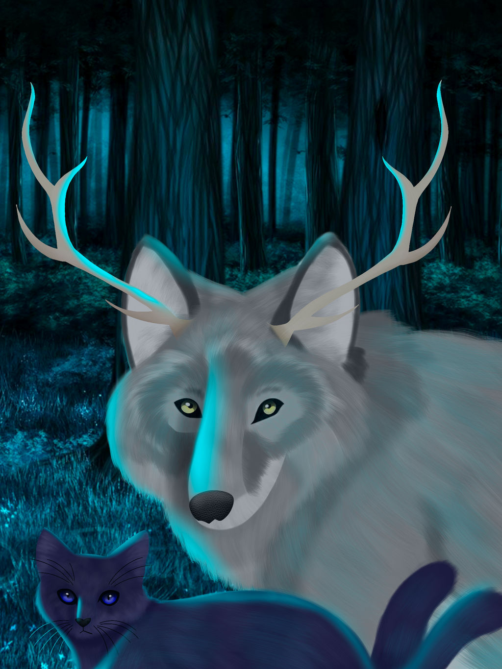 Wolf and cat