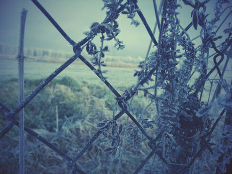 Fence