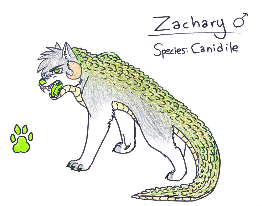 Zachary the Canidile