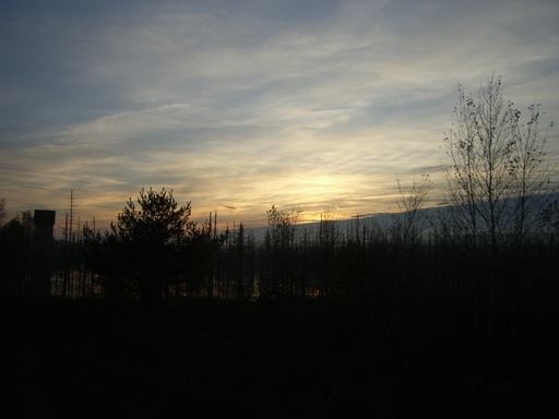 Sunset over the swamp