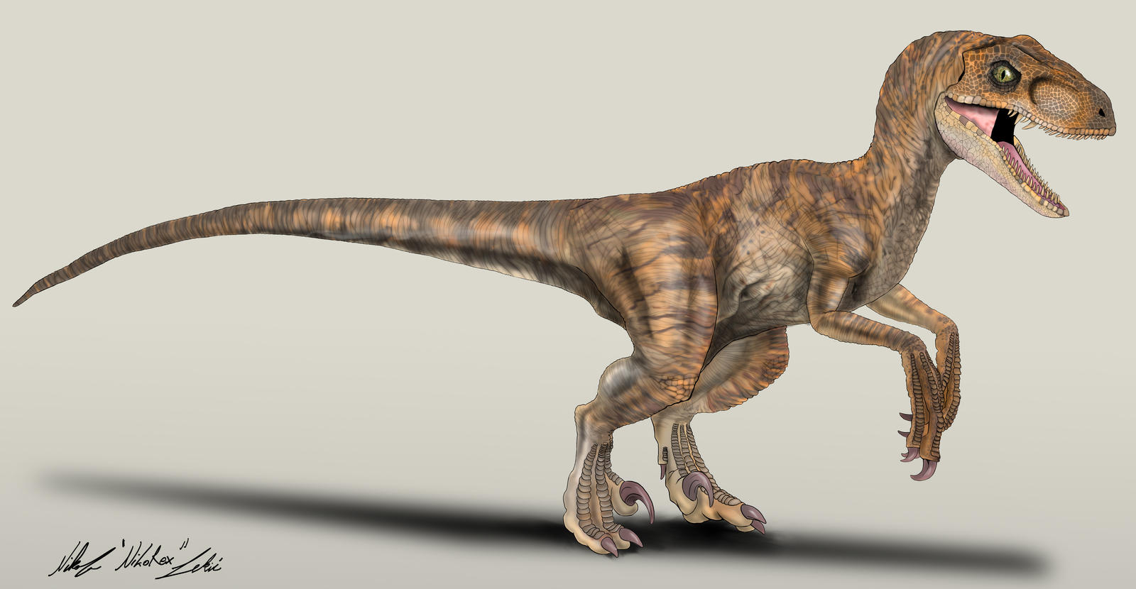 The Lost World Jurassic Park Velociraptor female by NikoRex on DeviantArt