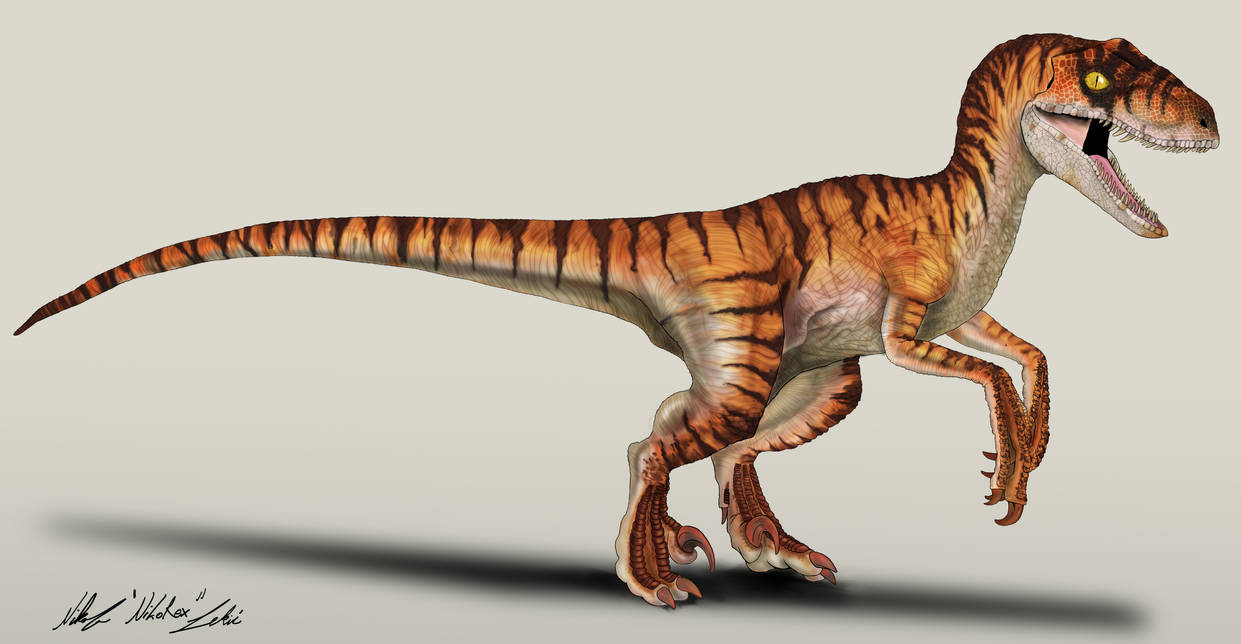 The Lost World Jurassic Park Velociraptor male by NikoRex on DeviantArt