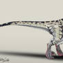 Jurassic Park /// Velociraptor female