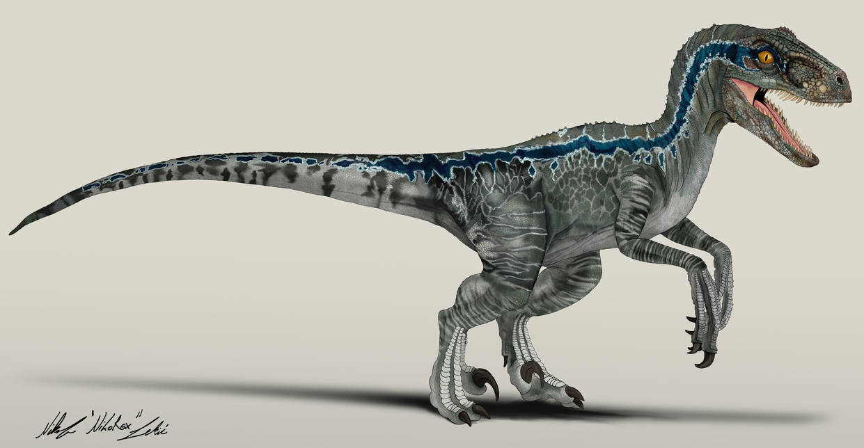 Jurassic World Velociraptor Blue By Nikorex On Deviantart