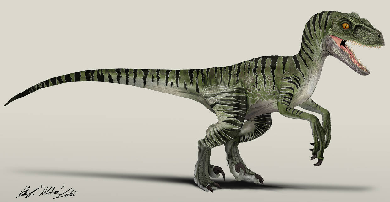 Jurassic World Velociraptor Charlie by NikoRex on DeviantArt