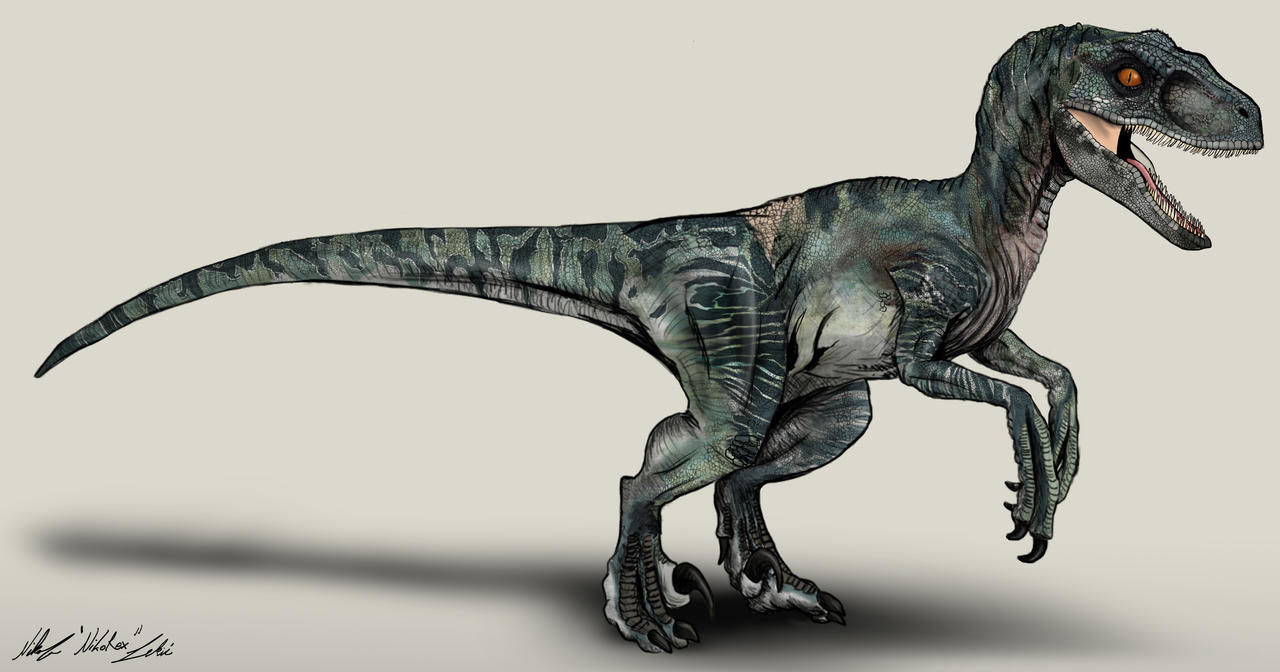 Jurassic World Velociraptor Delta by NikoRex on DeviantArt