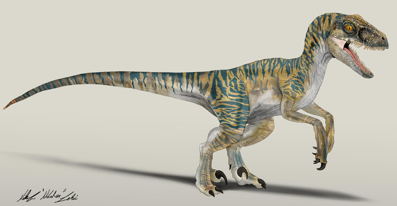 Jurassic World Velociraptor Echo By Nikorex On Deviantart 
