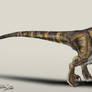 Jurassic Park Velociraptor (The Big One)
