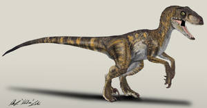 Jurassic Park Velociraptor (The Big One)