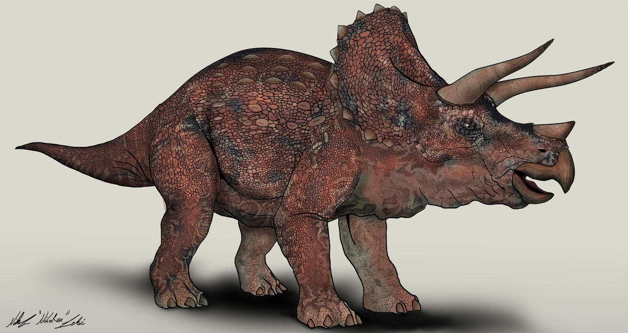 Jurassic Park Triceratops By Nikorex On Deviantart Jurassic Park Triceratops By Nikorex On Deviantart