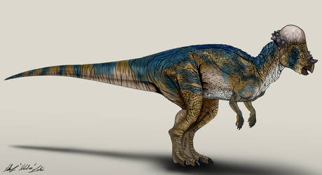 Jurassic Park by NikoRex on DeviantArt Jurassic Park by NikoRex on DeviantArt