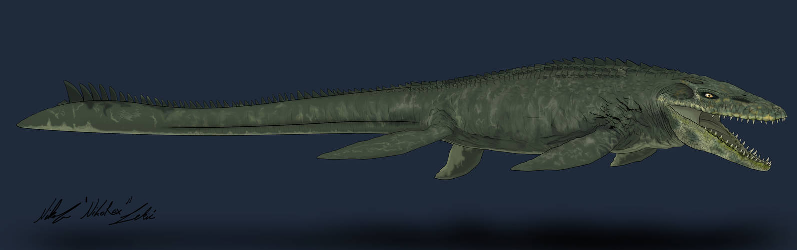 Explore best mosasaurusjurassicworld art on DeviantArt