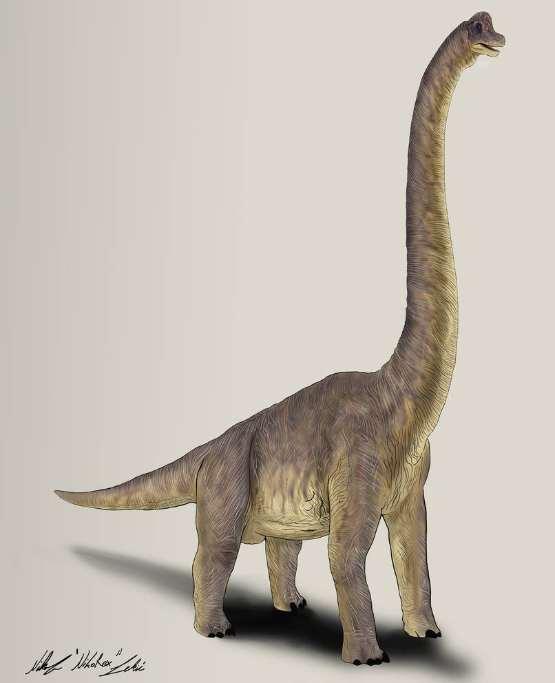 Jurassic Park Brachiosaurus by NikoRex on DeviantArt