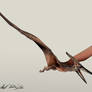 Jurassic Park /// Pteranodon