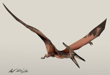 Jurassic Park /// Pteranodon