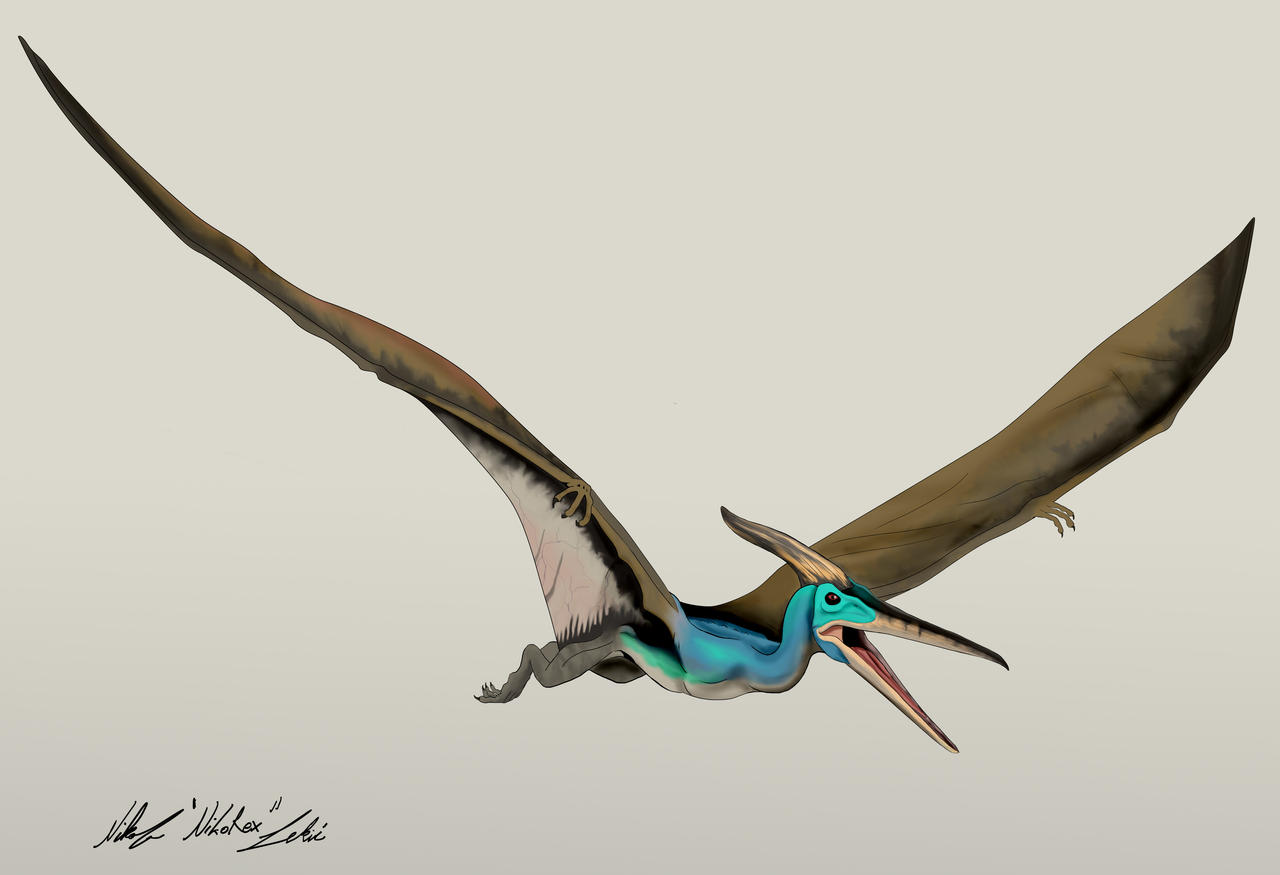 the_lost_world_jurassic_park_pteranodon_by_nikorex_dd0pdny-fullview.jpg