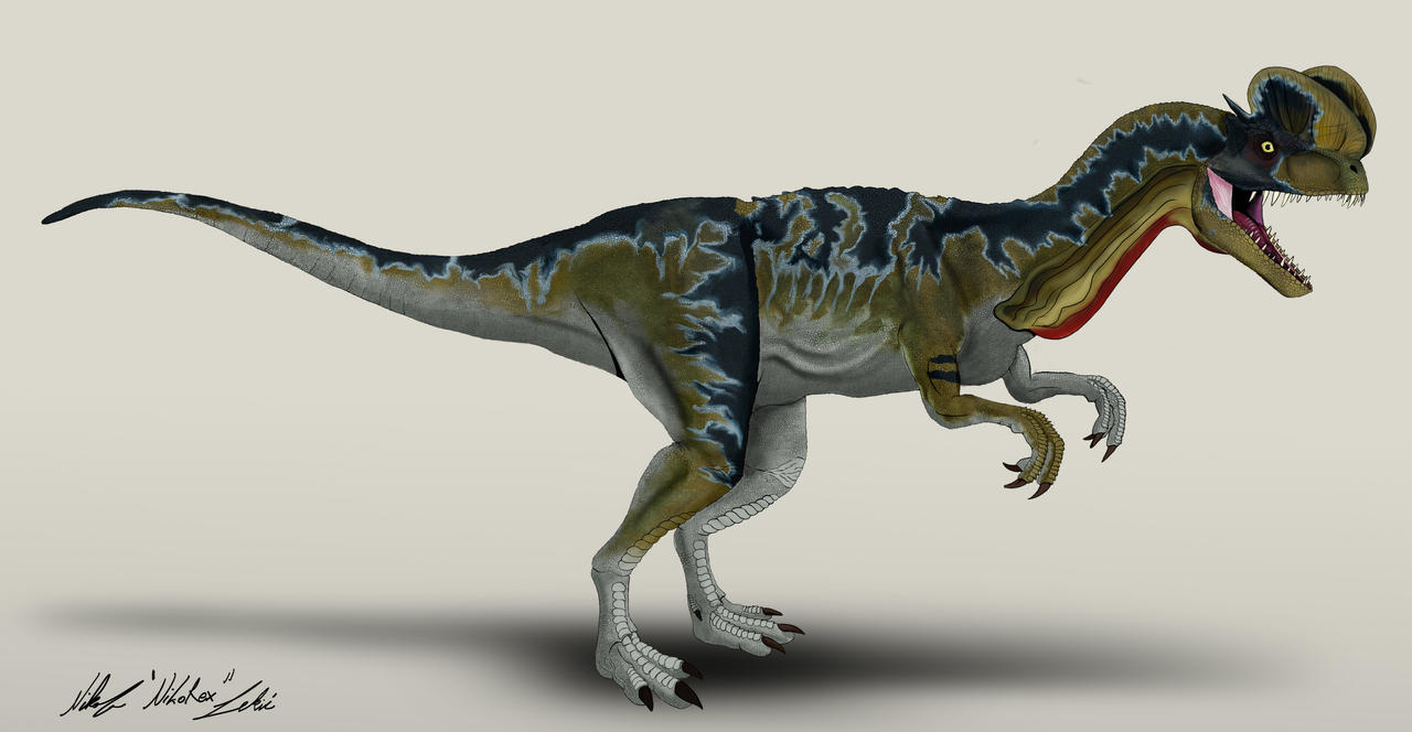 Jurassic Park Dilophosaurus frill down by NikoRex  on 
