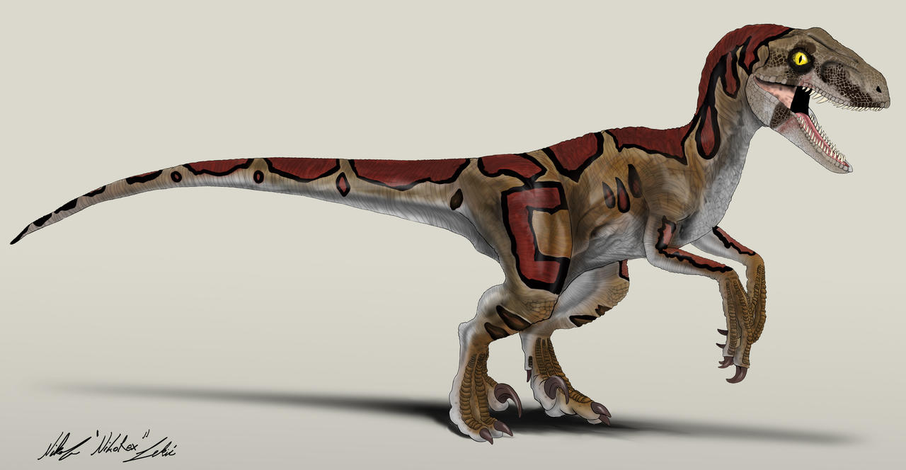 Trespasser Raptors Trespasser Tribe B Velociraptor by NikoRex on DeviantArt