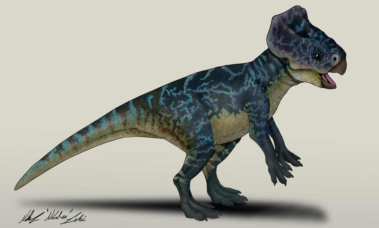 Microceratops Microceratus Jurassic World Das Parkmanagersammlung Paket Erscheint Am