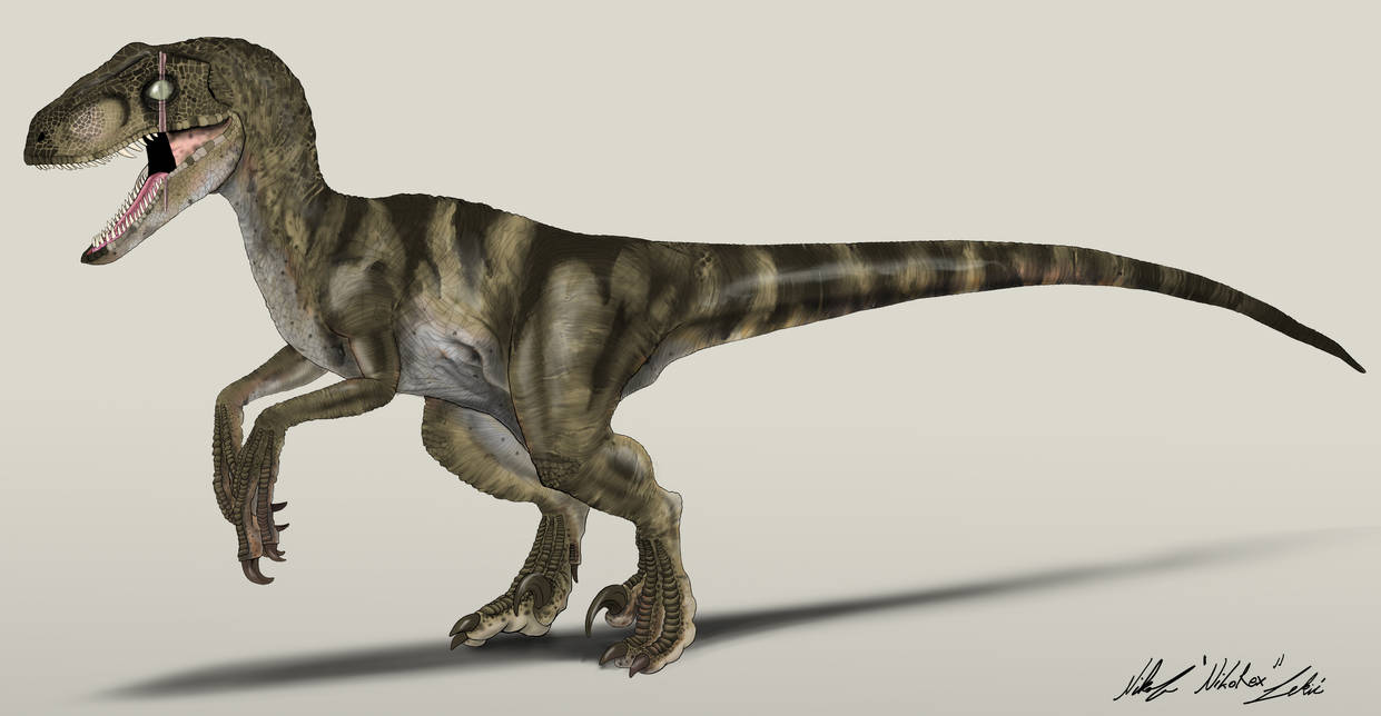 Scar Raptor Jurassic Park The Game Velociraptor Scarface by NikoRex on DeviantArt