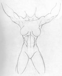 Female anatomy study #1