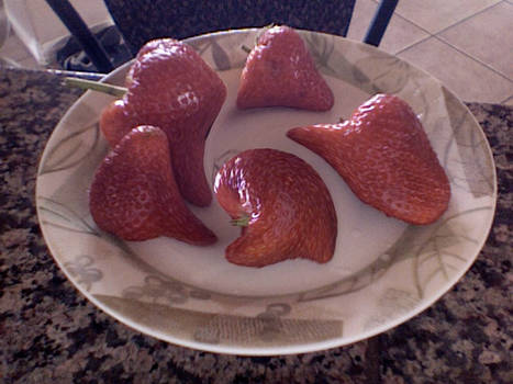 Warped Strawberries 2