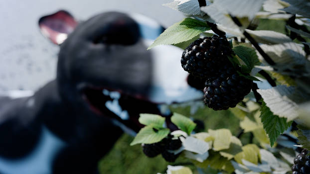 Berry Good Blackberries