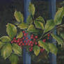 Winterberries