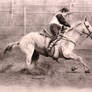 Barrel Racer