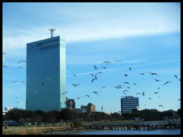 Lake Charles Skyline