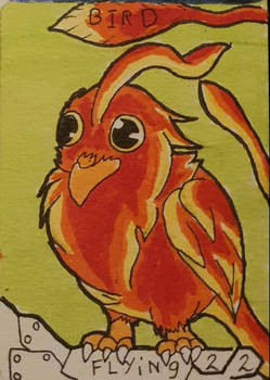 Bird token