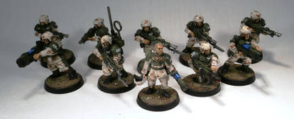 Squad 409, Imperial Guard Veterans