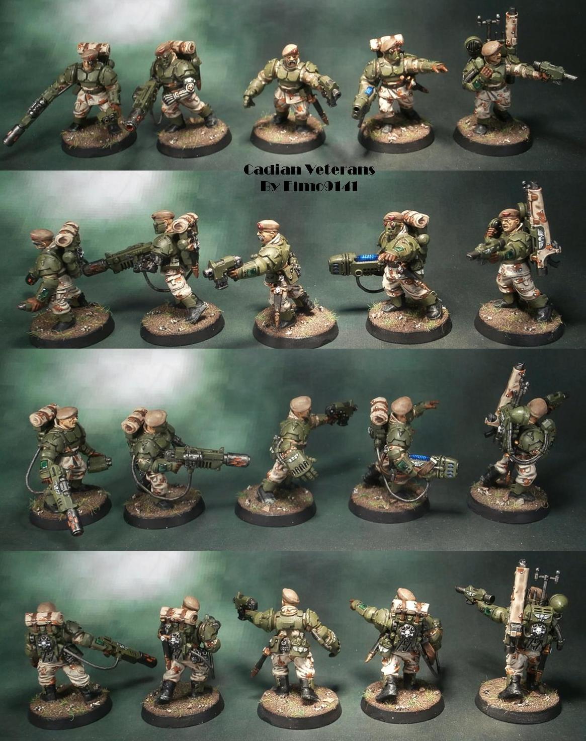 Cadian Veterans (part 1)