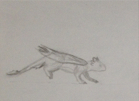 Toothless Animation by ShaneLeviSpeed on DeviantArt
