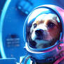 Stellar Paws: Fairy Magic and Space Dogs