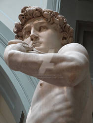 Davi - Michelangelo - Firenze