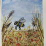 Bee in a field