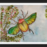 Some kind of beetle in watercolour with blossom