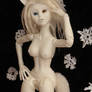 W.I.P: Firefox and snowfox BJD - Dollifirst