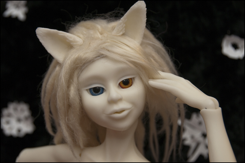 W.I.P: Firefox and snowfox BJD - Dollisecond