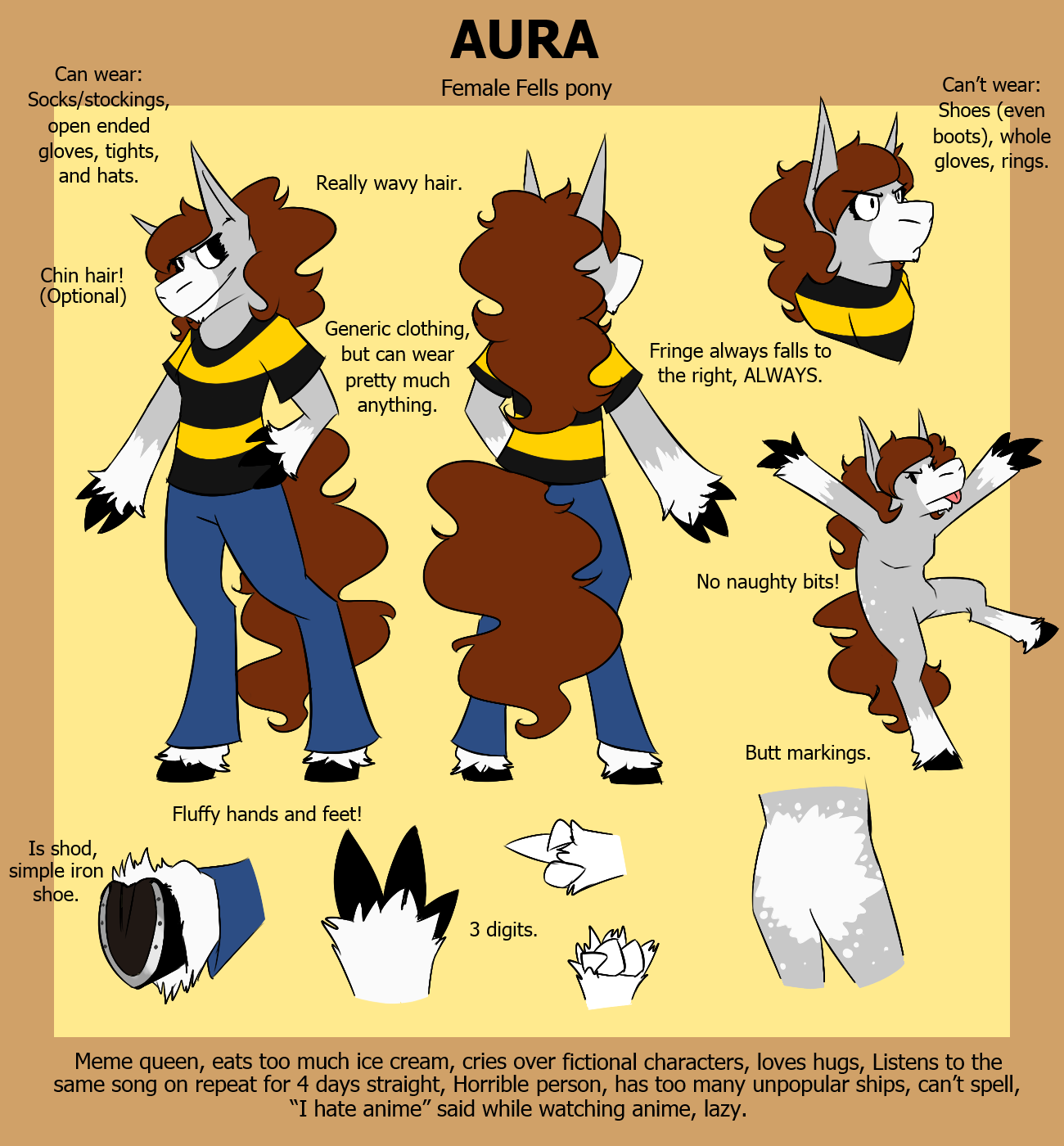 Aura Da Horse reference sheet (OLD)