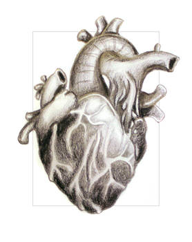 The Heart