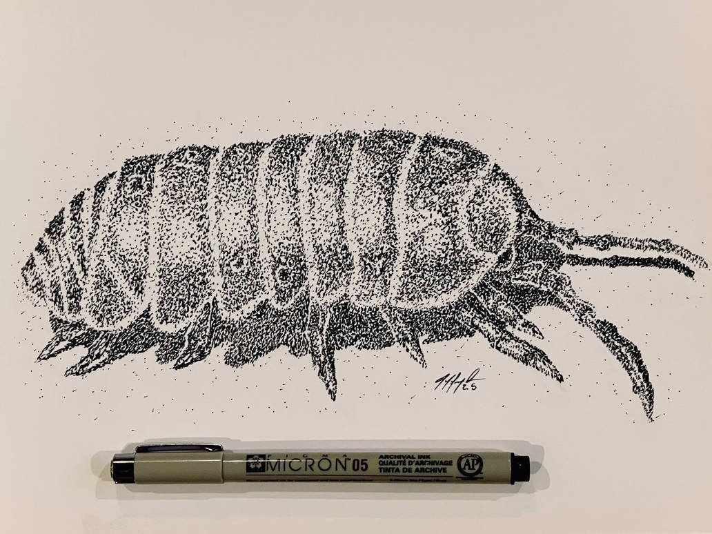 Roly poly by jeffserrano on DeviantArt