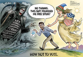 Election cartoon how not to vote