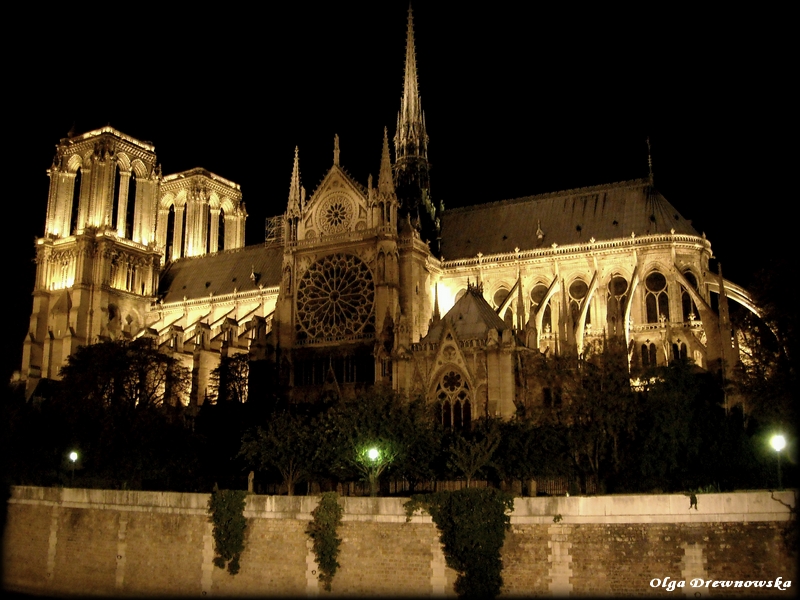 Notre Dame by night