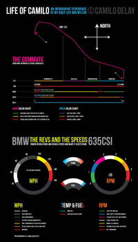 Daily Commute Infographic