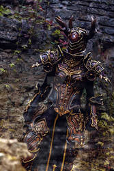 Diablo III Reaper of Souls, Crusader Female