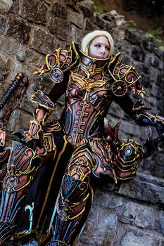 Diablo III Reaper of Souls Crusader Female