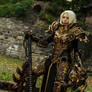 Diablo 3 Reaper of Souls Crusader